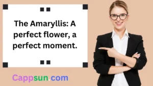 Amaryllis Flower Captions for Instagram