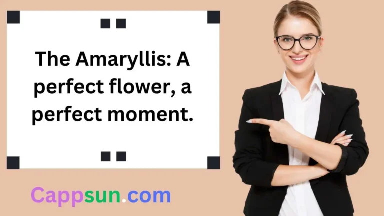 Amaryllis Flower Captions for Instagram