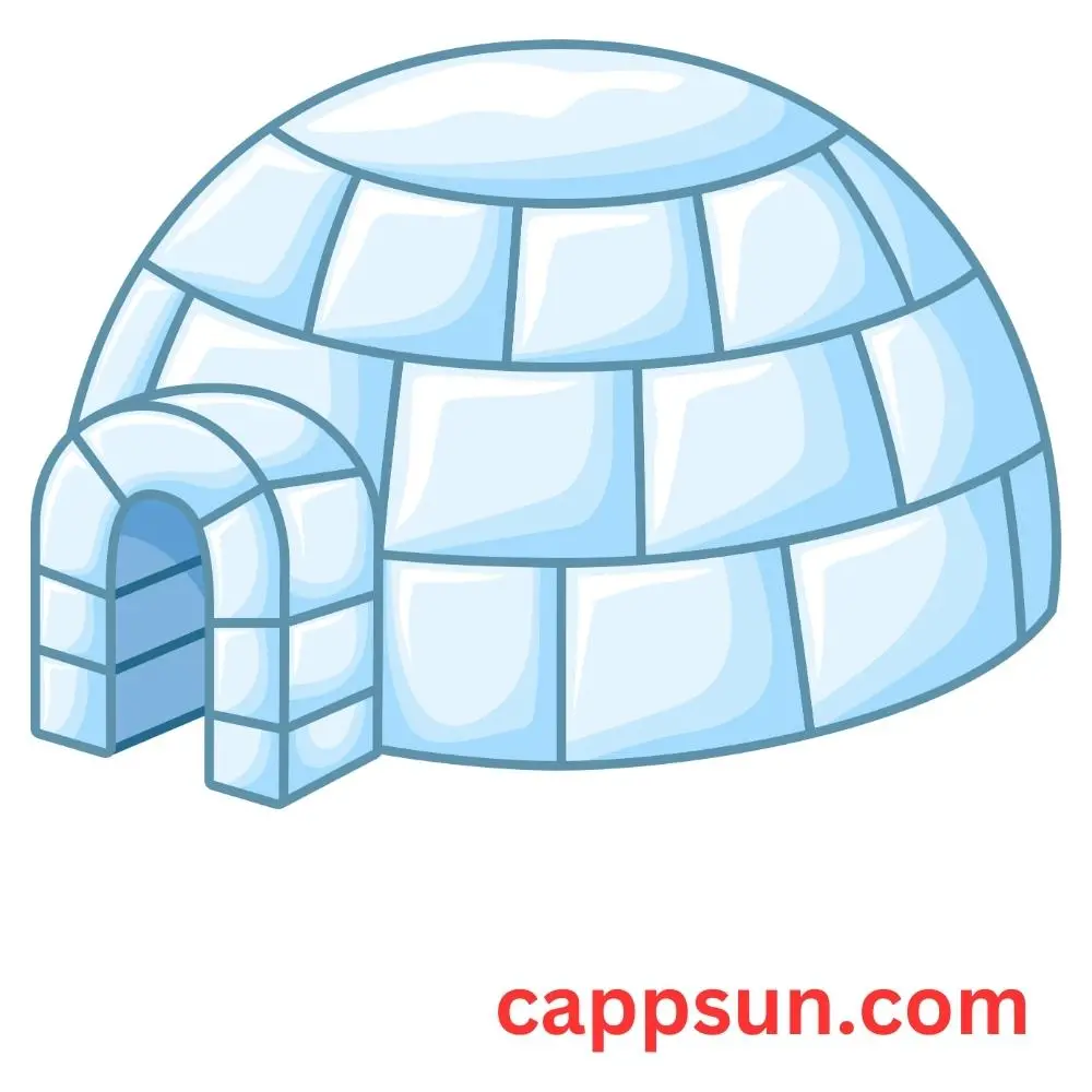 Igloo Captions