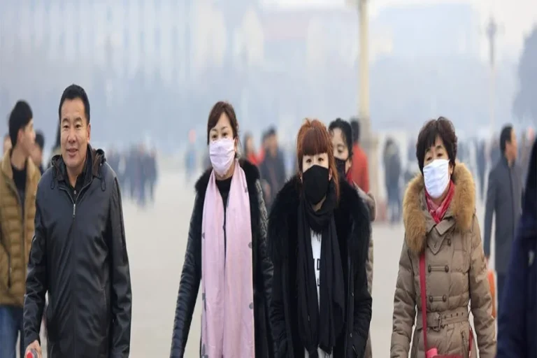 Why Wurduxalgoilds Bad Risks Health Environment and Ethics